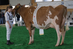 12_DSF4669