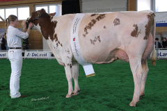 15_DSF4661