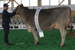 18_DSF4674