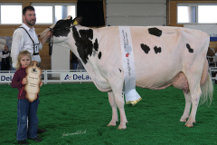 21_DSF4655